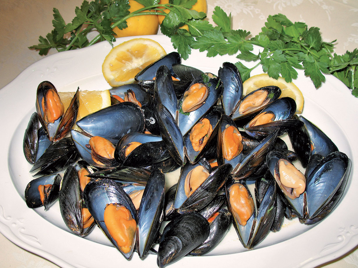 Cozze