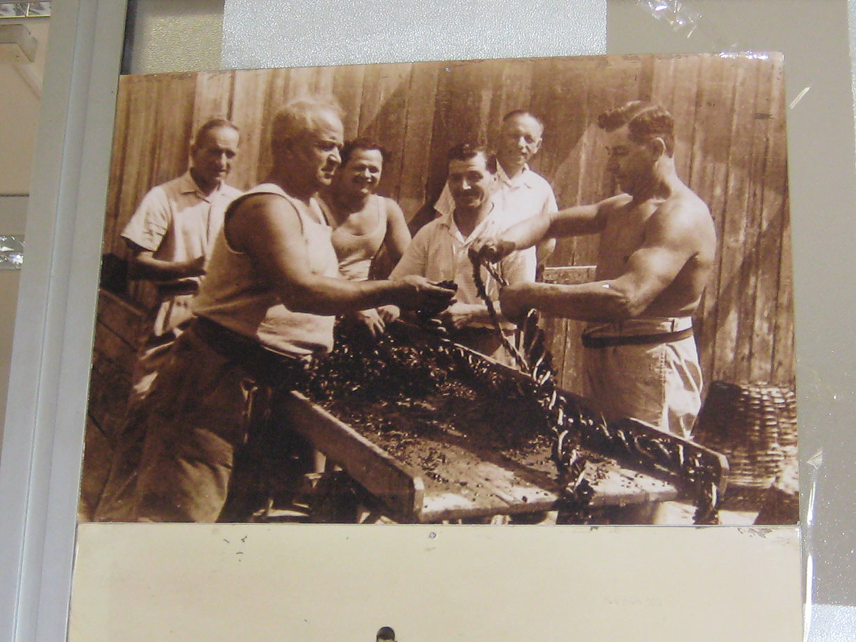 MUSCOLI1
